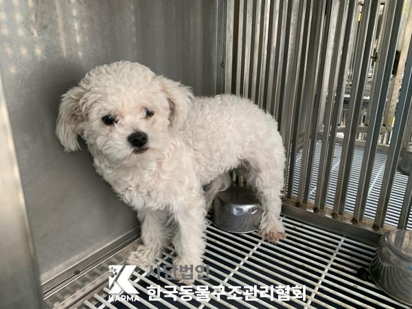 한국동물구조관리협회_441392202500041